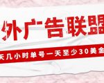 外面收费1980的最新国外LEAD广告联盟搬砖项目，单号一天至少30美金【详细玩法教程】-闪越社
