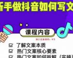 新手做抖音如何写文案，手把手实操如何拆解热门文案-闪越社