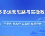 拼多多店铺运营思路与实操教程，快速学会拼多多开店和运营，少踩坑，多盈利-闪越社