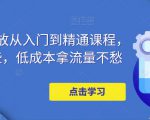 万相台投放从入门到精通课程,学会这些,低成本拿流量不愁-闪越社