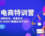 美团电商特训营:美团·店群玩法,无脑铺货月产出6000-15000+精细化月产2w+-闪越社