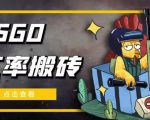 外面9800的CSGO汇率搬砖项目，一个月轻松赚几千【选品软件+详细教程】-闪越社