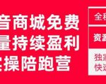 抖音商城搜索持续盈利陪跑成长营，抖音商城搜索从0-1、从1到10的全面解决方案-闪越社