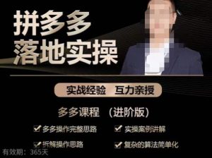 拼多多实战篇·落地实操:多多操作完整思路+实操案例讲解+拆解操作思路+复杂的算法简单化-闪越社