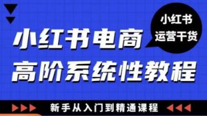 小红书电商高阶系统教程,新手从入门到精通系统课-闪越社