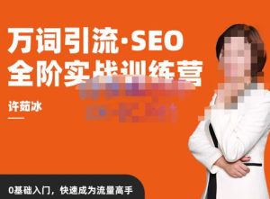 许茹冰·万词引流-SEO全阶实战训练营,0基础入门,快速成为流量高手-闪越社