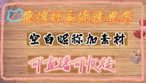 微信动态昵称设置方法,可抖音直播引流,日赚上百【详细视频教程+素材】-闪越社