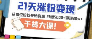 21天精准涨粉变现干货大课：从10位粉丝开始变现月增5000+变现20w+-闪越社
