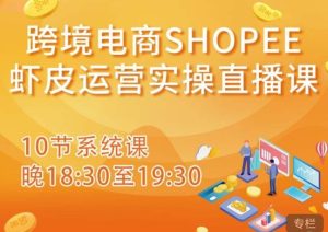 跨境电商Shopee虾皮运营实操直播课，从零开始学，入门到精通（10节系统课）-闪越社