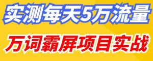 百度万词霸屏实操项目引流课，30天霸屏10万关键词-闪越社