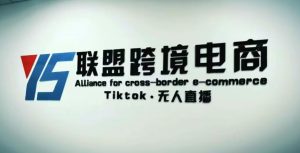YS联盟·Tiktok无人直播，不出镜不剪辑不拍摄不发货无售后的跨境短视频躺赚玩法-闪越社