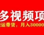 多多带货视频快速50爆款拿带货资格,搬运带货,月入30000【全套脚本+详细玩法】-闪越社