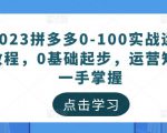 2023拼多多0-100实战运营教程，0基础起步，运营知识一手掌握-闪越社