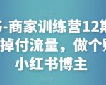 小红书-商家训练营12期：让商家丢掉付流量，做个赚钱的小红书博主-闪越社