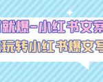 一写就爆-小红书文案课：带你玩转小红收爆文写作（45节课）-闪越社