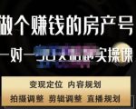 刘广标·同城房产号线上陪跑课，拍摄、剪辑、写文案、直播，做一个具有潜力价值的房产号-闪越社