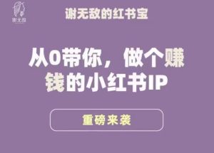 谢无敌·小红书运营大宝典，从0带你做个赚钱的小红书IP-闪越社