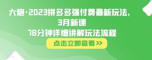 大炮·2023拼多多强付费最新玩法，3月新课​78分钟详细讲解玩法流程-闪越社