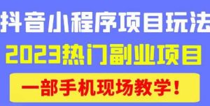 抖音小程序9.0新技巧，2023热门副业项目，动动手指轻松变现-闪越社