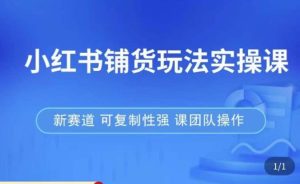 小红书铺货玩法实操课，流量大，竞争小，非常好做，新赛道，可复制性强，可团队操作-闪越社