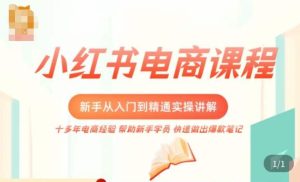 小红书电商新手入门到精通实操课，从入门到精通做爆款笔记，开店运营-闪越社