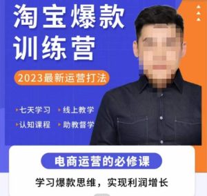 爱上黄昏·淘宝爆款训练营，2023最新运营打法，学习爆款思维，实现利润增长-闪越社