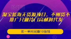 淘宝蓝海无货源项目，不囤货不推广只做冷门高利润代发，花一半时间赚10倍钱-闪越社