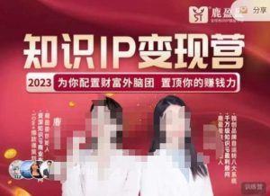 鹿盈盈-知识IP变现实操营,普通人可复制的知识产品落地实操课,带你打通知识IP变现底层逻辑-闪越社