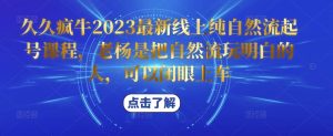 久久疯牛2023最新线上纯自然流起号课程，老杨是把自然流玩明白的人，可以闭眼上车-闪越社