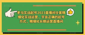 老马实战起号2023直播间全套精细化实战运营，学会正确的起号方式，精细化长期运营直播间-闪越社