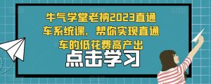牛气学堂老衲2023直通车系统课，帮你实现直通车的低花费高产出-闪越社