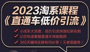 2023直通车低价引流玩法课程，小成本大流量，低价引流快速拉新收割，让你快速掌握直通车突破瓶颈-闪越社