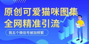 黑科技纯原创可爱猫咪图片，全网精准引流，实操5个VX号被加频繁-闪越社