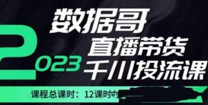 数据哥2023直播电商巨量千川付费投流实操课，快速掌握直播带货运营投放策略-闪越社