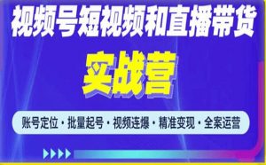 2023最新微信视频号引流和变现全套运营实战课程,小白也能玩转视频号短视频和直播运营-闪越社