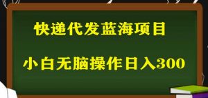 2023最新蓝海快递代发项目,小白零成本照抄也能日入300+-闪越社