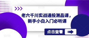 老六千川实战通投测品课,新手小白入门必听课-闪越社