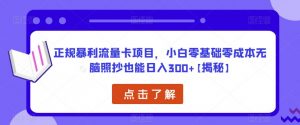 正规暴利流量卡项目,小白零基础零成本无脑照抄也能日入300+【揭秘】-闪越社