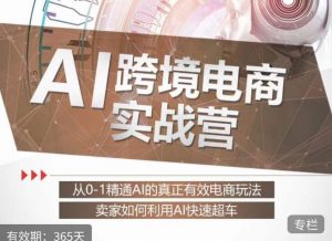 白龙老师·AI跨境电商实战营:从0-1精通Al的真正有效电商玩法,卖家如何利用Al快速超车-闪越社