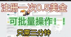 国外项目注册一次0.5美金，只需三分钟无脑操作，可批量同时放大操作，小白工作室福利【揭秘】-闪越社