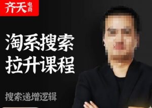 齐天电商·淘系搜索提升课程，​搜索递增标准化，动销标准化流程-闪越社