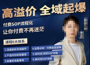 逸风-拼多多高溢价全域起爆,6大课程体系,付费玩法全套实操-闪越社