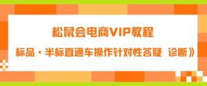 松鼠会电商VIP教程：松鼠《付费推广标品·半标直通车操作针对性答疑&诊断》-闪越社