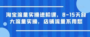 淘宝流量实操进阶课,8-15天放大流量实操,店铺流量不用愁-闪越社