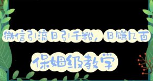 微信互推圈半自动引流方案，矩阵操作日引千人思路【详细视频教程】-闪越社