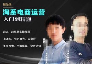 2023手淘搜索实操课+体系化课程，​起店起单品实操视频课程-闪越社