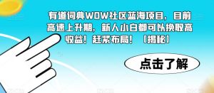 有道词典WOW社区蓝海项目,目前高速上升期,新人小白都可以换取高收益!赶紧布局!【揭秘】-闪越社