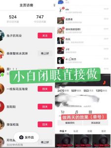 一天做完别一辈子的视频制作最近很火的《1000个野路子信息差》100%过原创【揭秘】-闪越社