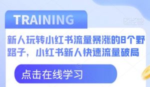 新人玩转小红书流量暴涨的8个野路子,小红书新人快速流量破局-闪越社