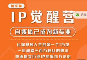 树成林·IP觉醒营，快速树立行业IP的操作方法论，让你赚到人生的第一个1万块（更新）-闪越社